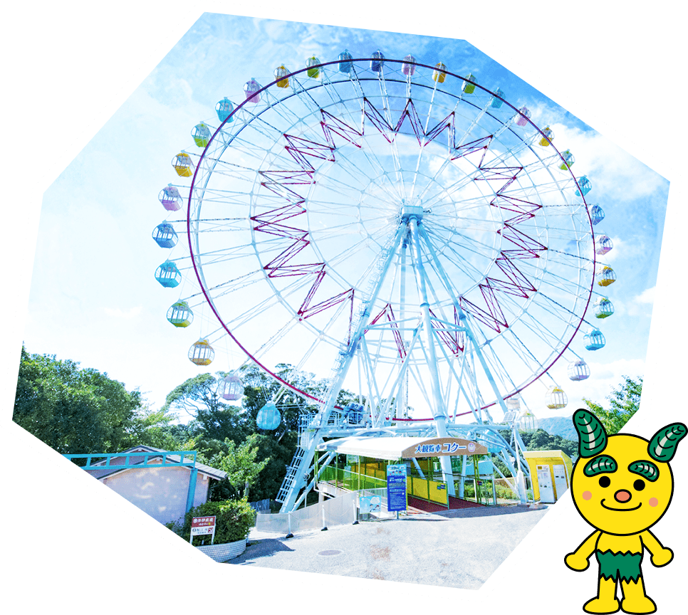 コクー