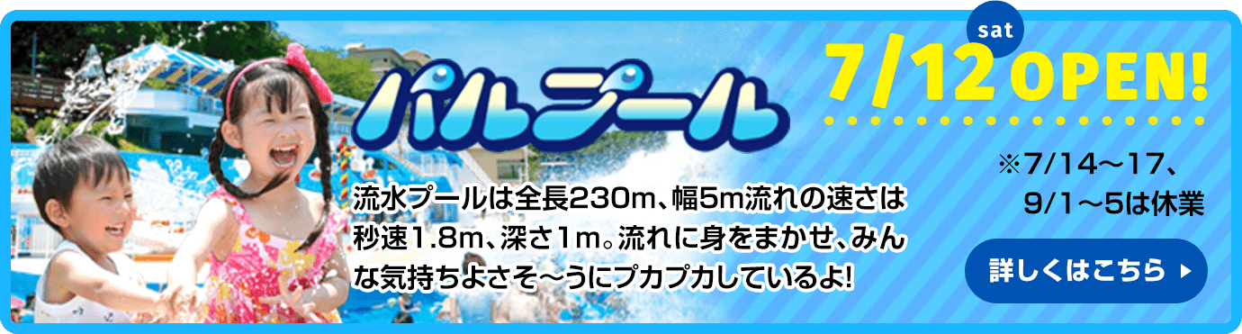 パルプール