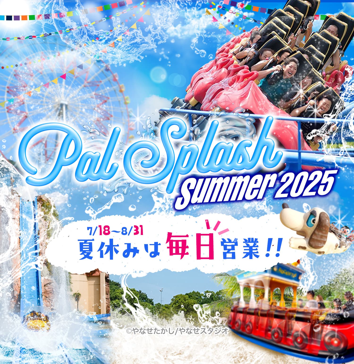 Pal Splash Summer 2025