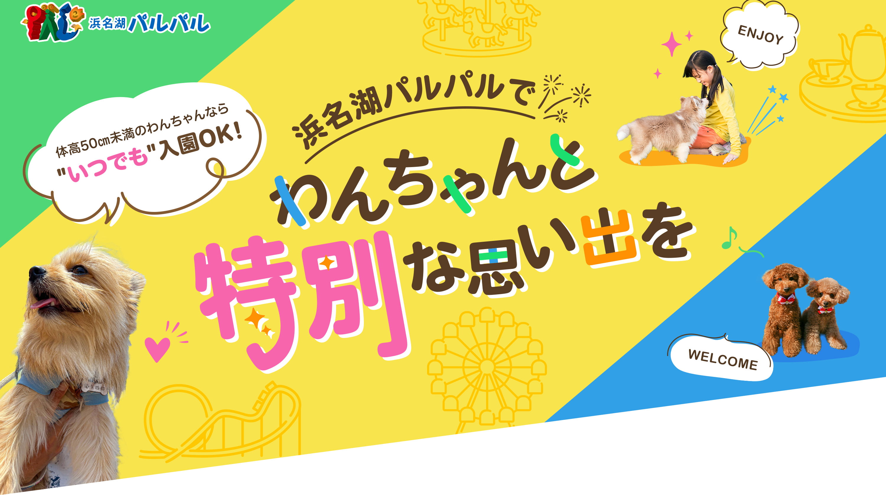 パルパルでわんちゃんと特別な思い出を