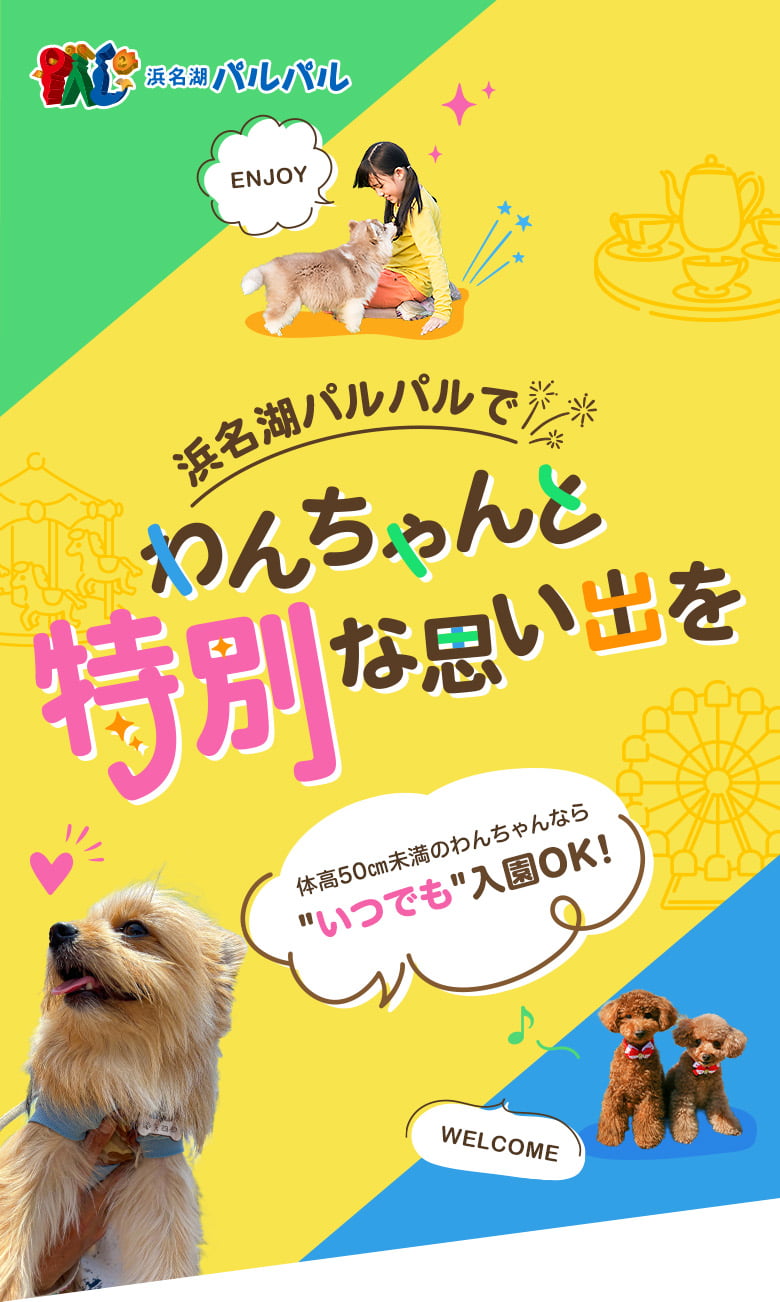 パルパルでわんちゃんと特別な思い出を