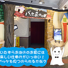 バッケとかくれんぼ