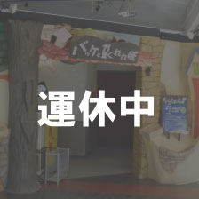 バッケとかくれんぼ