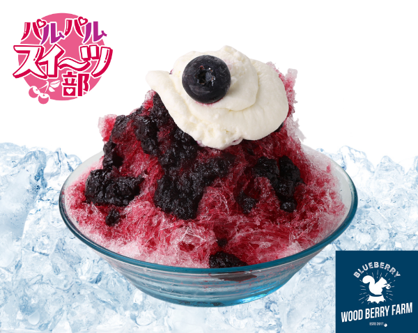 ブルーベリー<br>～WOOD BERRY FARMの自家製ソース～