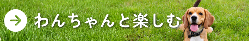 県民CP内リンクバナー2.png