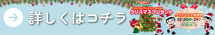 クリスマス抽選会リンクバナー.png
