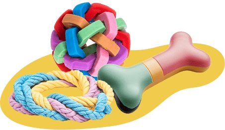 ランチタイム♪